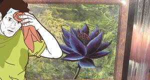 Artculo Magic: Un coleccionista abre sin querer un sobre clsico y le sale una Black Lotus