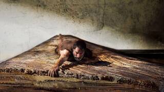 Un cl�sico de la ciencia ficci�n de los a�os 50 pretende conquistar la taquilla 70 a�os despu�s con un remake a la altura