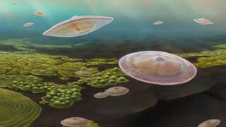 Un matemático confirma la razón por la vida no debería existir: las probabilidades eran casi cero y necesitó más que química