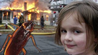 Un hombre en Japón hizo saltar por los aires su casa intentando matar una cucaracha