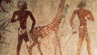 Un papiro egipcio de hace 3.300 años menciona a los gigantes de La Biblia y divide a la comunidad científica: 'Son los Nephilim'