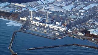 Fukushima guarda un secreto que aterra a la ciencia: unas criaturas sobreviven en la zona nuclear a pesar de la enorme radiaci�n