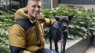 Un inform�tico australiano cambia las normas: dise�a una 'cura' para el c�ncer de su perra con ChatGPT, Google Deepmind y Grok