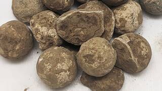 Alemania cambia de estrategia: funde balas del siglo XVII para fabricar un material clave para la energ�a limpia