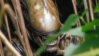 Disney+ prepara el regreso de su mayor �xito en la ciencia ficci�n y el terror: su creador confirma que tienen tramas para a�os