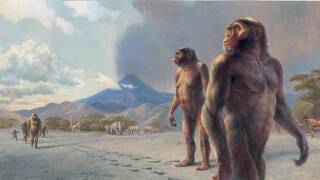 Marruecos desaf�a las normas: supera a Atapuerca y desentierra a nuestro antepasado m�s lejano con 773.000 a�os de historia