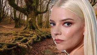 Confirmado por Warner: Anya Taylor-Joy llega a 'El Señor de los Anillos' con una elfa completamente nueva y hay un motivo