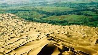 China plant� millones de �rboles en 1978: casi 50 a�os despu�s, la 'Gran Muralla Verde' est� 'comi�ndose' los bosques naturales