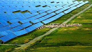 China plant� 6 millones de placas solares en el desierto: tras 10 a�os, est� 'verde' y es la granja solar m�s grande del planeta