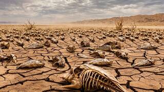 El planeta Tierra ya ha sufrido 5 extinciones masivas en el pasado y la sexta est� a punto de comenzar