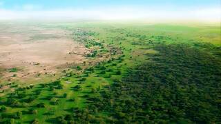 En 2021 soltaron 500 tortugas para combatir el desierto del S�hara: tras 5 a�os, las cifras de la 'Gran Barrera Viva' sorprenden