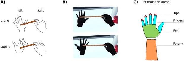 esquema del experimento