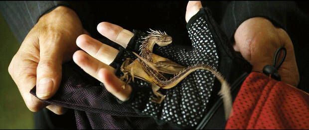 Harry Potter y el C�liz de Fuego