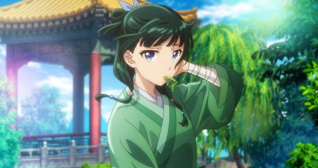 Los diarios de la boticaria