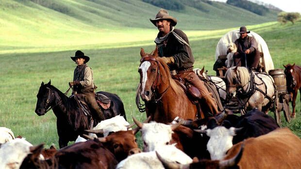 Open range