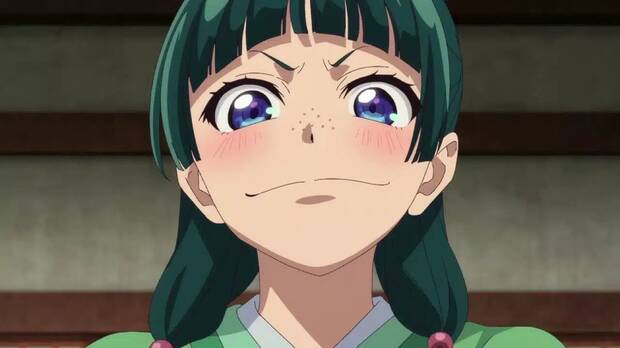 Los diarios de la boticaria