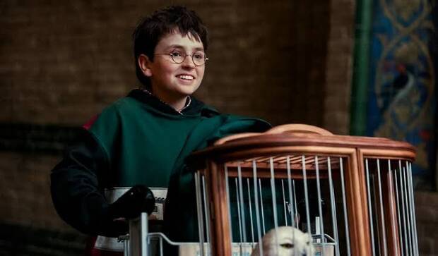 Harry Potter