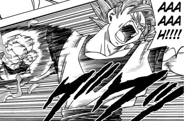 Dragon Ball Super 29