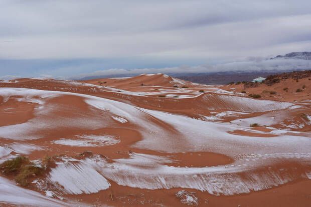 Sahara nevado