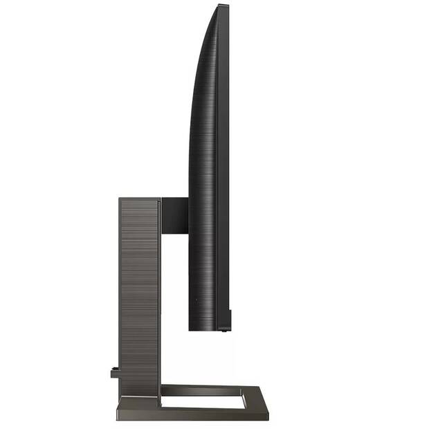 Lateral monitor Philips