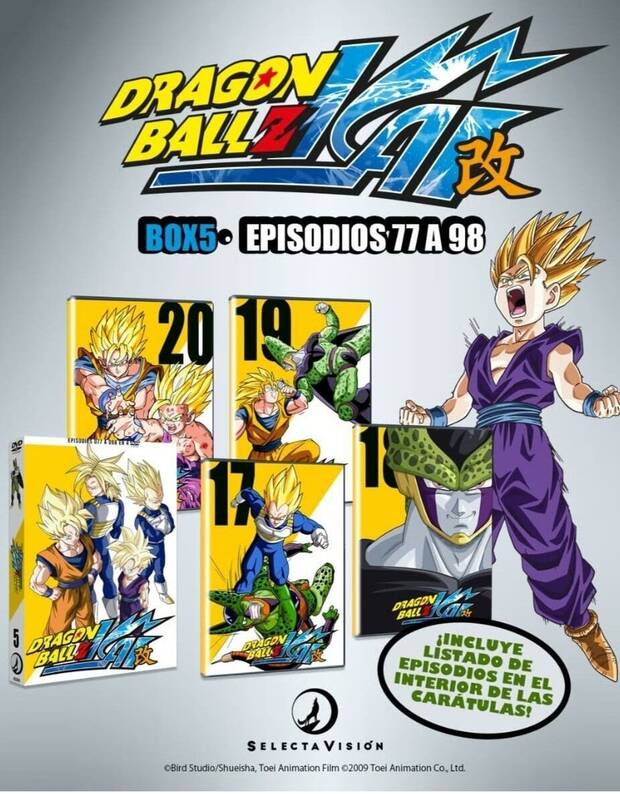 Dragon Ball Z