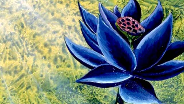 Magic The Gathering: Se subasta una Black Lotus de Alpha por 500.000 dólares