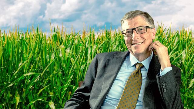 Bill Gates trabaja en una 'semilla mágica' que puede resistir el cambio climático