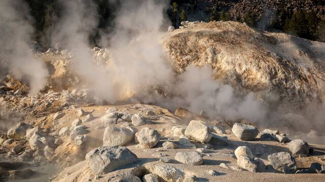 Bi�logos descubren un nuevo ser vivo de 'fuego' que bate el r�cord sobreviviendo a temperaturas al borde de la ebullici�n