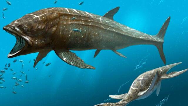 El pez �seo m�s grande de la historia: 16 metros de largo y 45 toneladas, domin� el Jur�sico y desapareci� al cambiar el oc�ano
