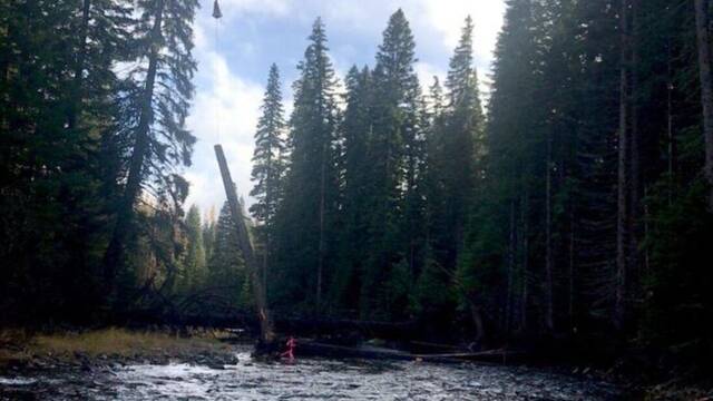 EE.UU. inicia una operaci�n sin precedentes para reconstruir sus r�os: una lluvia de m�s de 6.000 troncos con helic�pteros