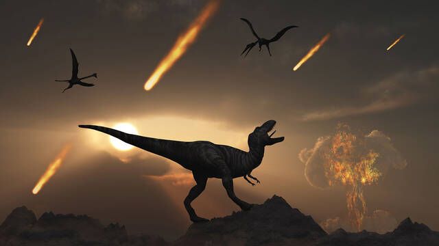 Descubren el animal que sali ms favorecido de la extincin de los dinosaurios y no fueron los mamferos pequeos