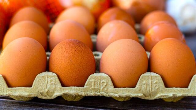 El huevo ya vale un 19% ms en el ltimo ao y los expertos temen nuevas subidas en una crisis alimentaria que golpea a Espaa
