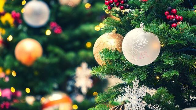 Adis definitivo al rbol de Navidad: la sorprendente tendencia que arrasa en Europa y que revoluciona las fiestas