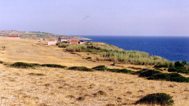 Una pareja vive desde hace 20 a�os en una isla deshabitada, sin tiendas ni carreteras: 'La vida a la antigua usanza'