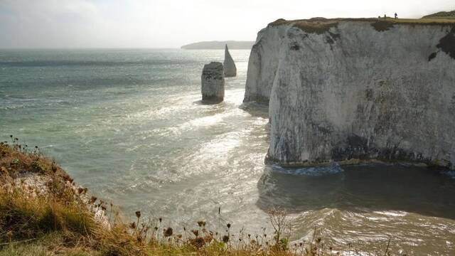 Alarma y preocupaci�n por la invasi�n que asola Inglaterra: provocada por el cambio clim�tico, est� sacudiendo la econom�a