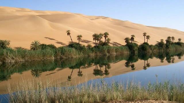 Cientficos descubren un oasis que llevaba 4.000 aos escondido en el desierto de Arabia Saud