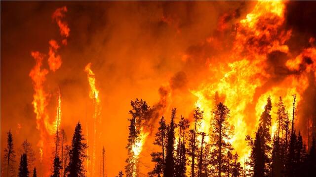 Espa�a registra un 40% m�s de incendios extremos de sexta generaci�n y sufre fuegos capaces de arrasar 1 mill�n de hect�reas