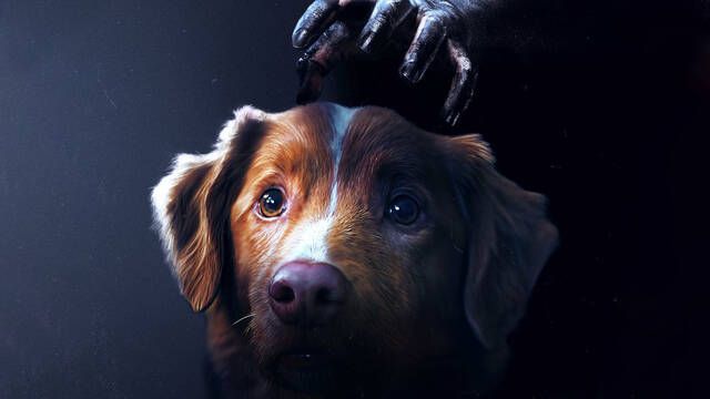 El perro de la película de terror 'Good Boy' hace historia: competirá con Ethan Hawke y Sophie Thatcher en Mejor Interpretación