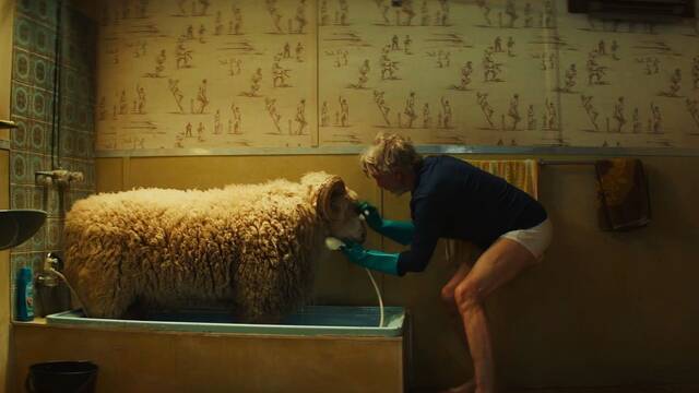 De dinosaurios a ovejas: Sam Neill protagoniza el tr�iler de la pel�cula Rams