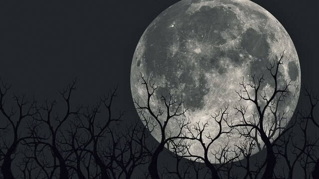 Calendario lunar de diciembre de 2023: ¿Cuándo será la 'luna fría', la luna llena del mes?