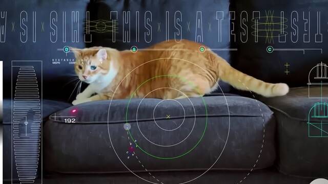 Un gato protagoniza el primer vdeo que nos llega desde el espacio profundo