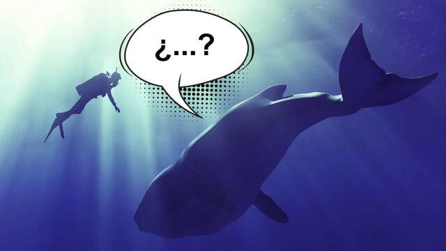 Un grupo de cient�ficos logra mantener una conversaci�n con una ballena para practicar lenguaje extraterrestre