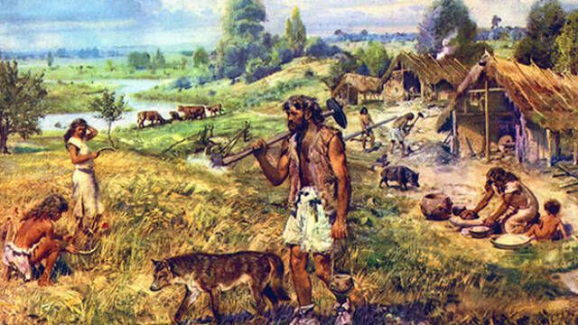 El hombre prehistrico europeo era principalmente vegetariano, segn un estudio