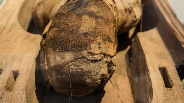 Expertos hallan restos de una peligrosa y mortal enfermedad en una momia y sus orgenes cambian por completo