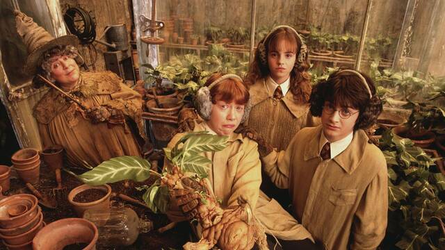 Una estrella ic�nica de 'Harry Potter' arremete contra la serie de HBO: 'Solo persigue el dinero, no tiene alma'