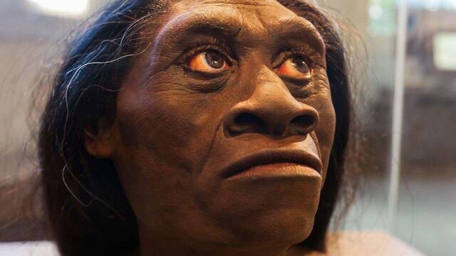 Hallazgo hist�rico de la ciencia: una especie humana desapareci� hace 50.000 a�os y ahora por fin se confirma el motivo