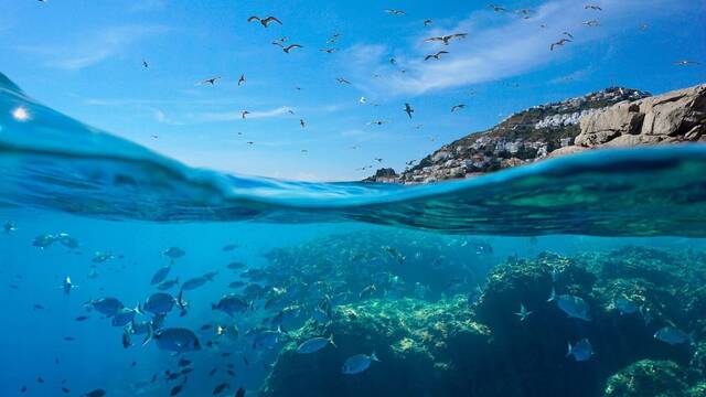 Alarma y preocupacin: los ocanos del mundo en crisis y el Mediterrneo se convierte en un 'punto caliente' sin precedentes