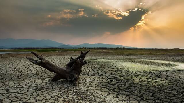 Espa�a sufre la mayor destrucci�n del suelo en d�cadas: el 40% ya est� 'enfermo' y no hay marcha atr�s en la desertificaci�n