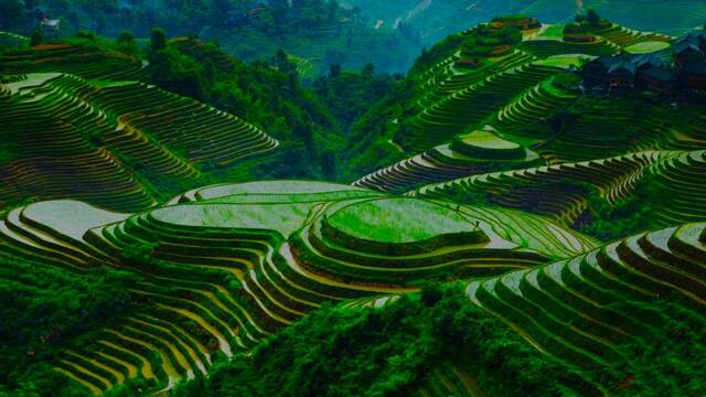 Ni nucleares ni puentes: la ecol�gica megaconstrucci�n de China que distribuye agua por el pa�s y cambia la energ�a