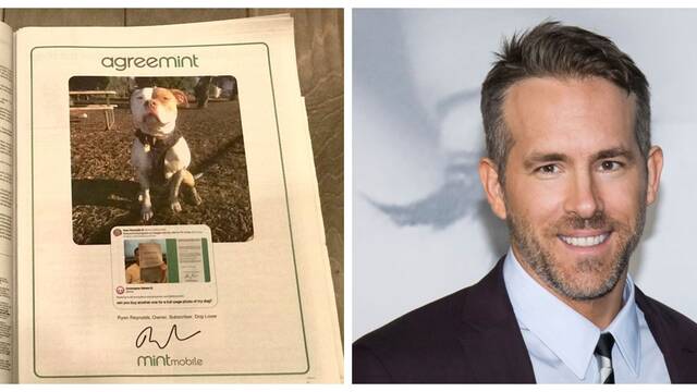 Ryan Reynolds compra una pgina entera de anuncio para un perro